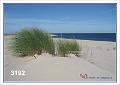 3192 SYLT INSEL  Düne und Meer .